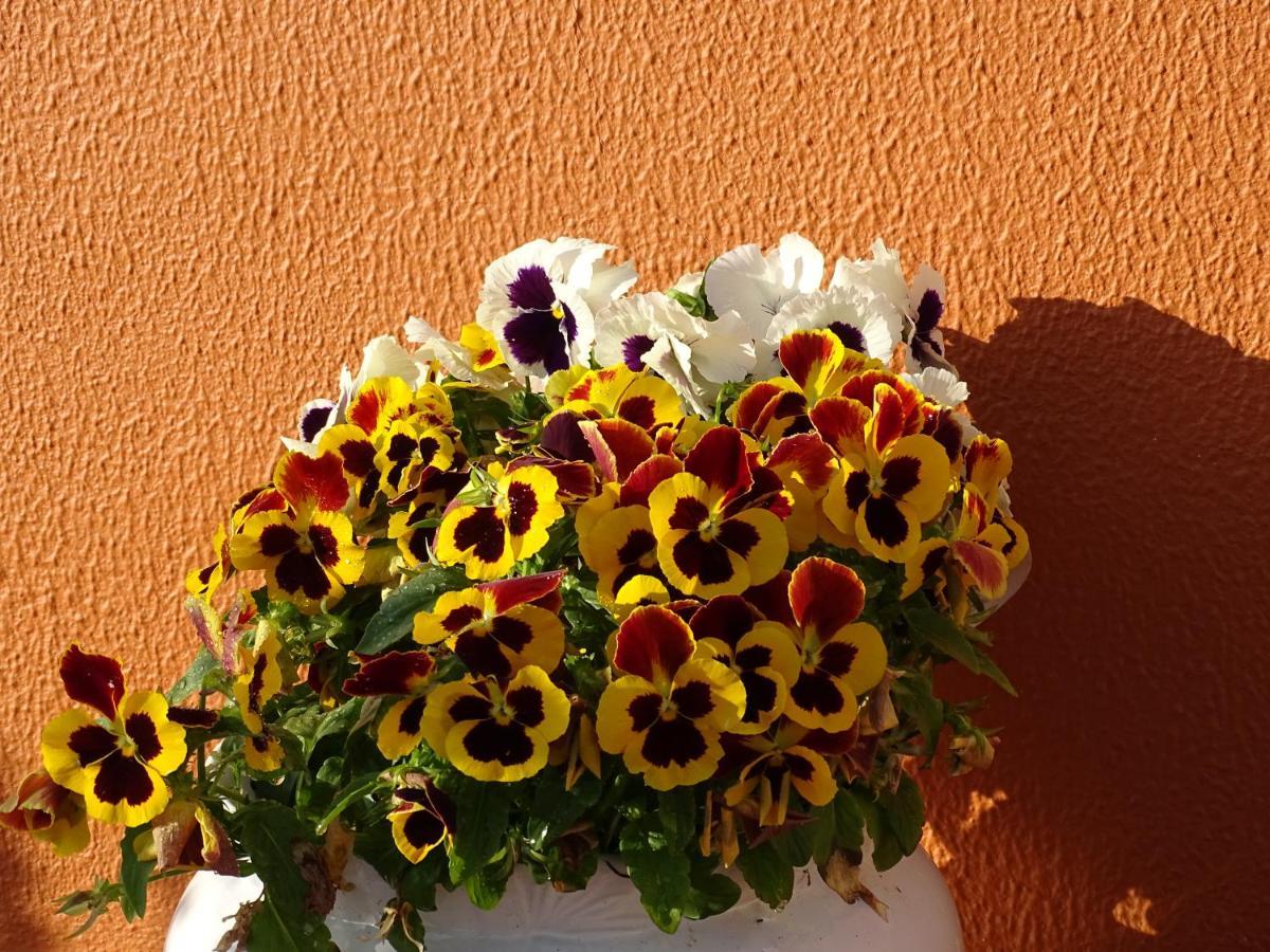 Haus Nunes By Stay In Alentejo Vila Nova de Milfontes Exteriér fotografie